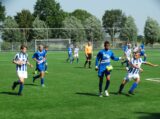 Regio Selectie Schouwen-Duiveland JO14 - Virtus JO14-1 (oefen) (21/148)